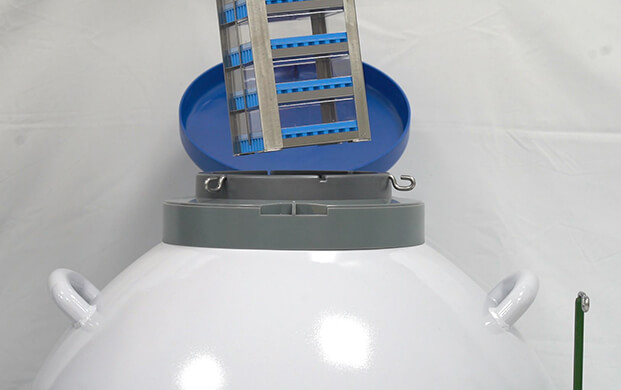 細(xì)菌可以凍在實(shí)驗(yàn)室液氮罐里嗎？